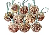 Glitter Seashell Beach Christmas Ornaments with