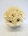 Sweet Home Deco 13’’ Silk Artificial Gerbera Daisy Bouquet (W/ 7stems, 7 Flower Heads), Home/wedding Decorations (Cream)