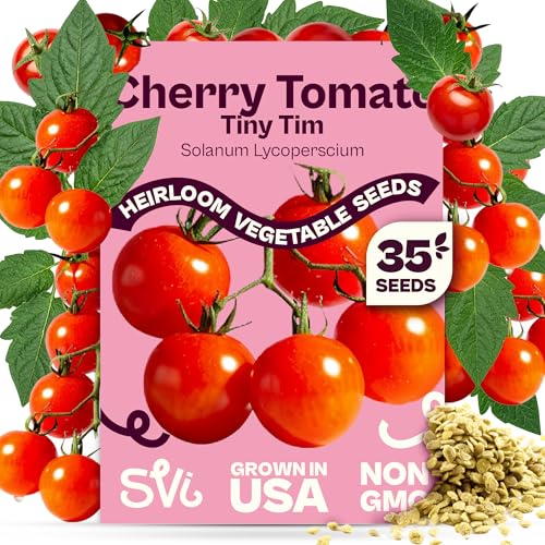 SVI Tiny Tim Tomato Seeds
