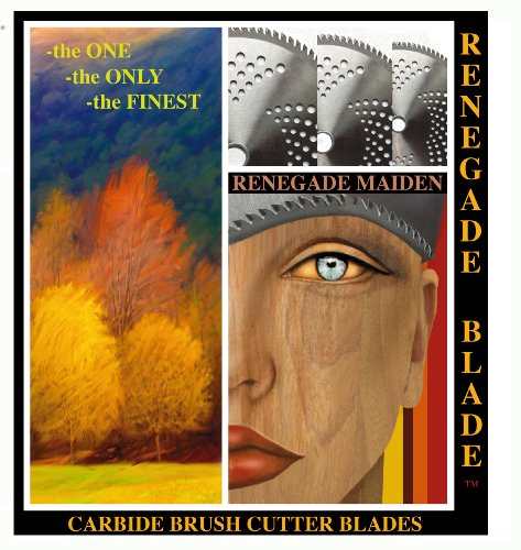 renegade razor hybrid blade