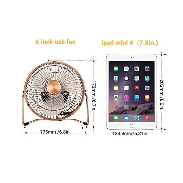 EasyAcc USB Desk Fan 6 Inch Desktop Silent Fan Air Circulator 2 Speeds 360° Rotation Brushless Motor Noiseless for Home…