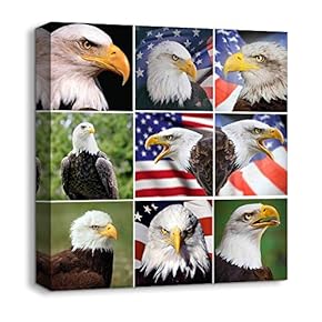 Animals Plants Collage Ideas Home Wall for Bedroom...