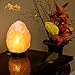 Salt Lamp by HSS Himalayan Salt Lamp Himalayan Pink Salt Lamp Salt Lamp Cord With Dimmer Switch 6 - 7 lbs, 7 - 8 Inches, Shinny Wooden Base, 1 Bulb, 6 Feet Long UL Approved Cord