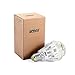 15W (150-125 Watt Equivalent) A19 Dimmable LED Light Bulb, 2000 Lumens, 5000K Daylight White, 270° Omni-Directional, CRI 80+, E26 Medium Base, UL Listed, 5-Year Warranty, SANSI