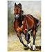 FuigeBach DIY 5D Diamond Painting Kits for Adults Full Drill Horse Diamond Painting by Number Kits Crystal Rhinestone Embroidery Arts Crafts for Home Wall Decor (Horse,12X16 inches)