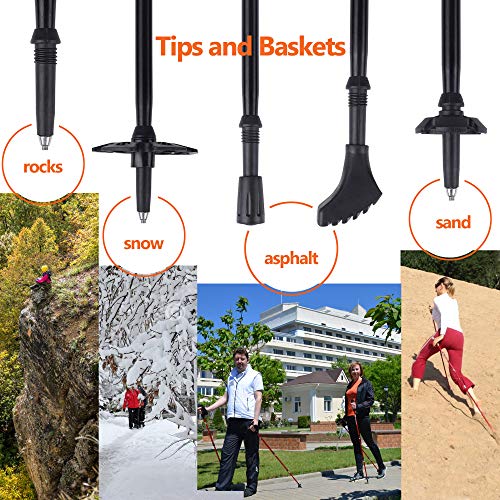 RikkiTikki Carbon Fiber Trekking Poles - Lightweight Collapsible Walking Poles with Cork Grips, Quick Locks, Carry Bag - Bonus: Selfie Shutter with Camera Mount
