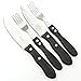 Steak Knives: BlizeTec Stainless Steel Cutlery Set (4 Pcs)