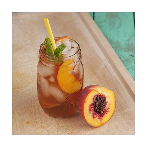 Mr. Coffee TM75 Iced Tea Maker, 1 EA, Blue, TM1RB The Home Kitchen Store