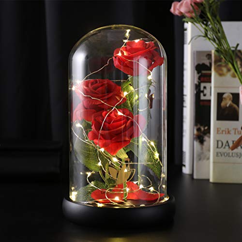 Beauty and The Beast Rose flowers, 40 LED Lights in Glass Dome on Wood Base, Warm Light mode, a Fallen leaves, Multi Use for Home/Office or Home Decorations, Mother's Day Gifts for Women