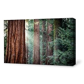 for Living Room Bedroom Home Artwork Paintings Red Wood