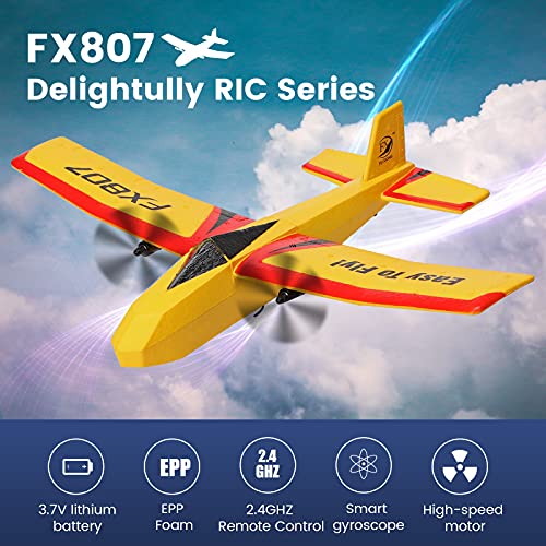 RC Plane Ready to Fly EPP Remote Control Airplane ,2.4GHz 2 Channels