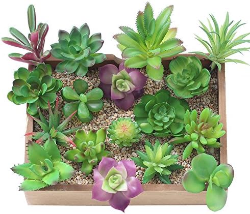 Antuble Mixed Artificial Succulent Plants Fake Succulents for Home Gardern Diy Decoration, (12 Different PCS, Random,Unpotted)