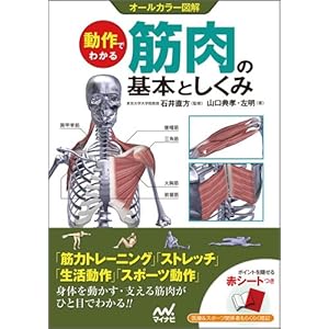 The basic mechanism of muscle to understand the operating
