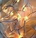 SPRINGROSE Christmas Wedding Decoration Light Set, 24 Feet Long, 100 Clear Bulbs with White Cord