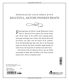 Image de Instant Wall Art - Botanical Prints: 45 Ready-to-Frame Vintage Illustrations for Your Home Decor