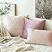 MIULEE Pack of 2 Pink Velvet Throw Pillow Covers 18x18 Inch Soft Solid Decorative Square Set Cushion Cases for Spring Couch Sofa Bedroom