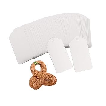 StillCool Papieranhänger 100 x 9 * 4.5 cm, Kraftpapier Geschenkanhänger für Hochzeit Geburtstag Geschenke, Gepäck, blanko wei