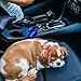 All Furry Buddies dog water bottle - no spill 18oz portable AutoDogMug for small and large dogs - The top refillable bowl keeps pets hydrated anywhere anytime- great for travel, outdoor, car trips