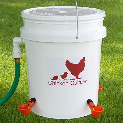 Automatic poultry bucket watering kit- water drinking c…