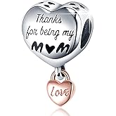 LONGLUCK 925 Sterling Silver Charms for Bracelets Necklaces Dangle Pendant With 5A Cubic Zirconias Bead Charm for Women DIY Jewelry