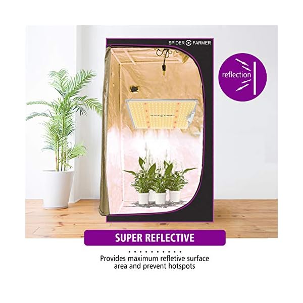 Cannabis Anbauen | Spider Farmer Growbox 90x90x180cm Growzelt Für