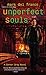 Unperfect Souls (Connor Grey, Book 4)
