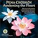 Pema Chodron 2020 Wall Calendar: Awakening the Heart - A Year of Inspirational Quotes by Pema Chodron, Amber Lotus Publishing