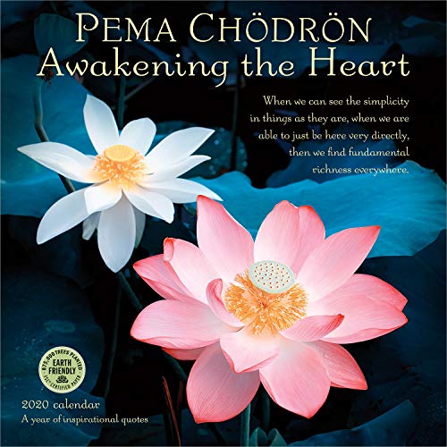 Pema Chodron 2020 Wall Calendar: Awakening the Heart - A Year of Inspirational Quotes by Pema Chodron, Amber Lotus Publishing