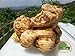 Puerto Rican Celery Root, Apio, Celeriac by Prorganics (1Lb)
