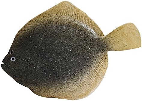 Transcend11 Simulated Turbot Artificial Sea Fish Model Lifelike Fake Fish Home Party Market Display Kids Toy Kitchen Decoration Photography Props