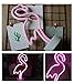 Neon Indoor Night Light, LoveNite Battery Operated Glowing Neon Decorative Sign LED Light for Room Party Festival Decorations (Flamingo)