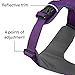 Ruffwear, Front Range Dog Harness, Reflective Soft Padded Everyday Harness with Dual Leash Clips, Adjustable and Lightweight Fit for Training or Walking for All Dogs, Tillandsia Purple, Small
