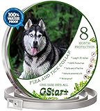 GStar+ Collar for Dogs ! 8 Months Protection ! One Size fits All ! Waterproof ! Adjustable Dog Collar