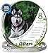 GStar+ Collar for Dogs ! 8 Months Protection ! One Size fits All ! Waterproof ! Adjustable Dog Collar