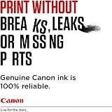 Canon PG510 CL511 Ink Cartridges Black Colour 9ml 2970B010 view 4