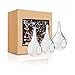 SWISSELITE Glass Hanging Planters Hanging Glass Terrariums, Plant Terrariums Set (3 Pack Water-Drop)