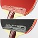DHS 4-Star 4002 Shake Hand Premium Table Tennis Racket Ping Pong Paddle Blade Inverted Rubber with Carry Case