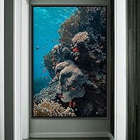 Framed Canvas Wall Art Coral Beds Bedroom Dolphin Marine Life Multicolor Nautical Photography - 16x24 inches