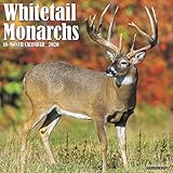 Whitetail Monarchs 2020 Wall Calendar by 