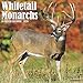 Whitetail Monarchs 2020 Wall Calendar by 