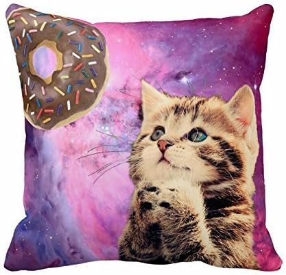 Christmas present Donut Praying Cat pillow cover case 18x18inch