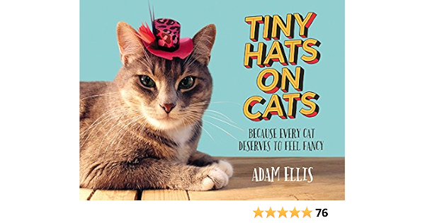 Tiny Hats on Cats: Because Every Cat 