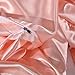 Pink Bedding Set Silk Like Blush Pink Comforter Cover 2 Pieces Luxury Satin Duvet Cover Coral Pink Girls Bedding Sets Twin 1 Duvet Cover 1 Pillowcase (Pink, Twin)