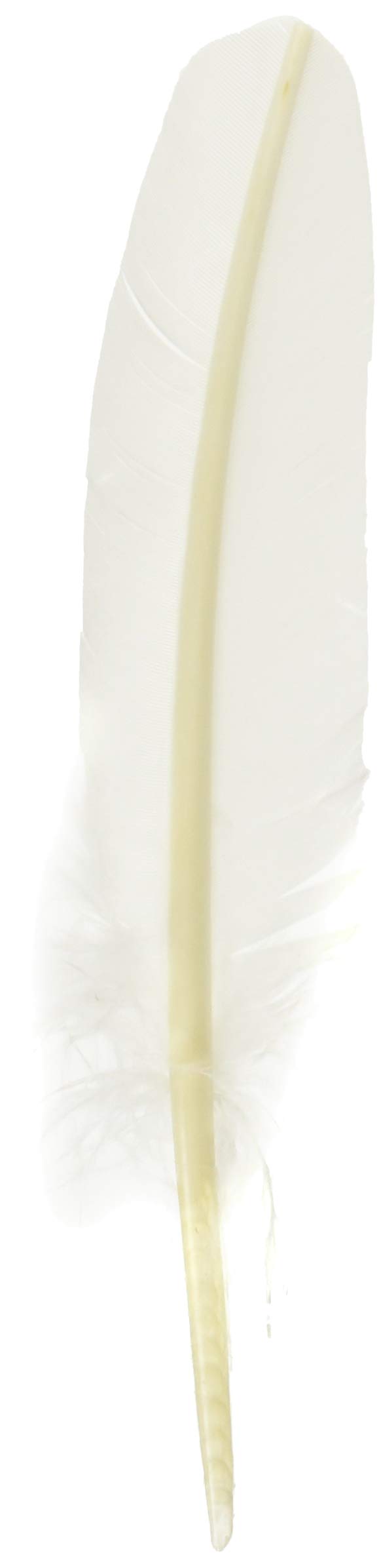 Jacques Herbin 23301ST - One carved quill pen 21 cm, White