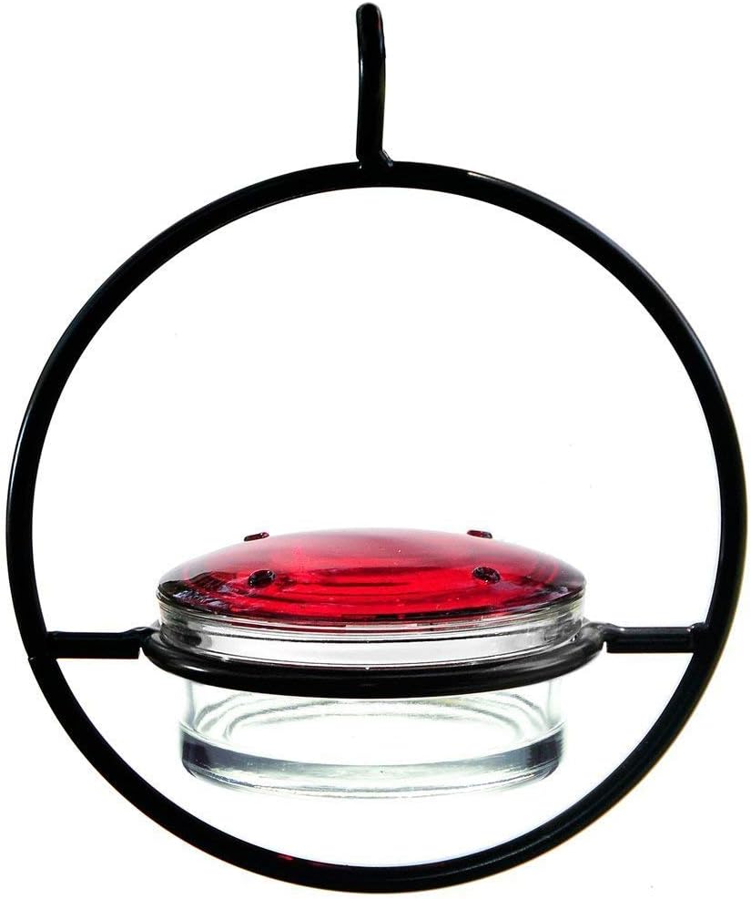 Best Small Hanging Hummingbird Feeder - Beautiful Glass & Decorative Metal Design - Attracts Hummers Like Crazy - 100% Guaranteed!