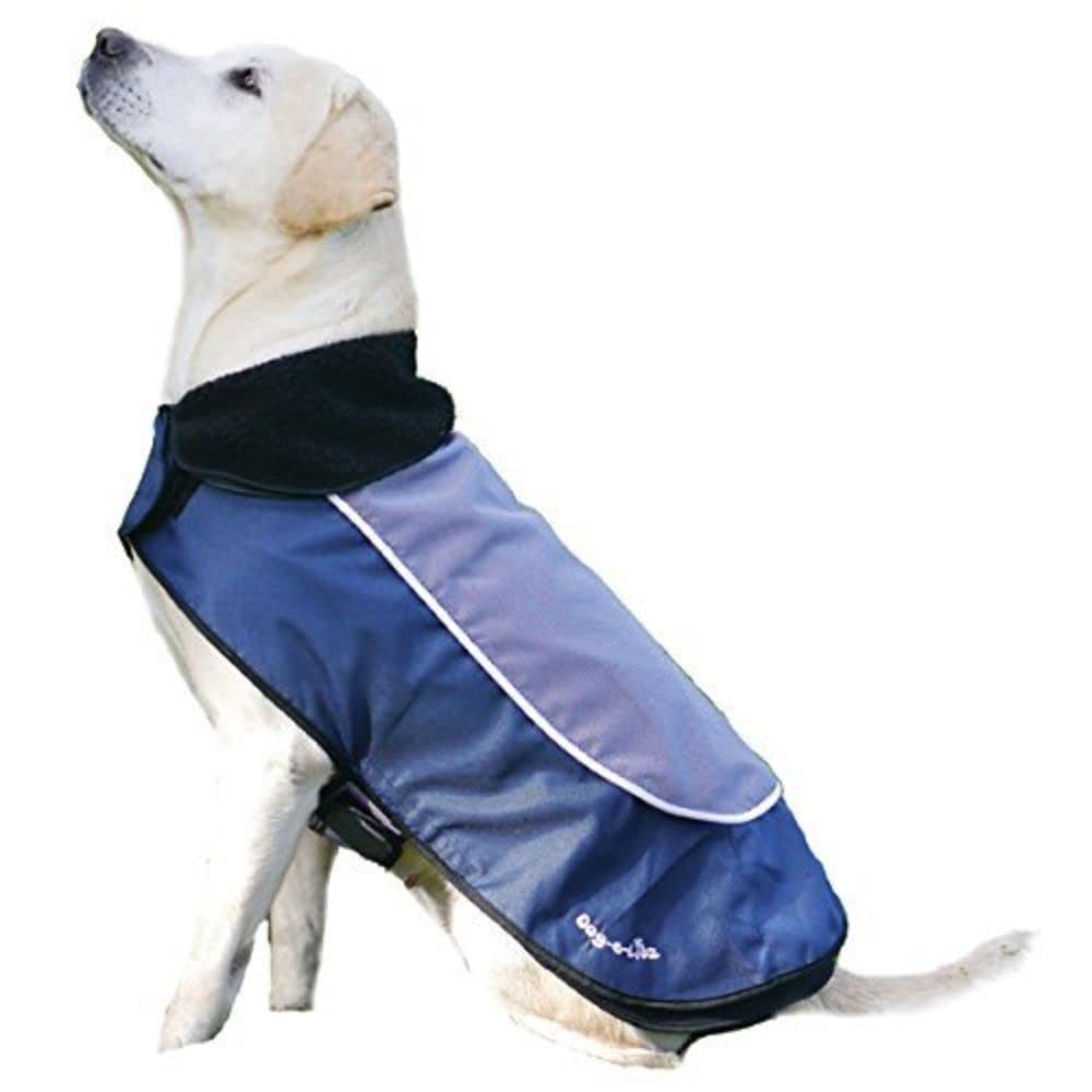 Rosewood Night Bright LED Dog Jacket, 12-inch