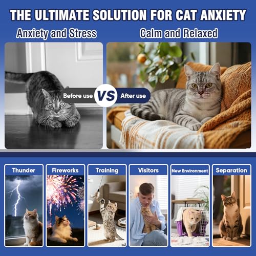 Piuess Katzen Beruhigung Steckdose FüR Cat Calming Diffuser Beruhigendes Diffusor-Set Katze Anti Stress Pheromon Beruhigungsmittel Duftstecker Geschmacklos（2 StöPsel + 2 NachfüLlpackungen à 48 Ml）
