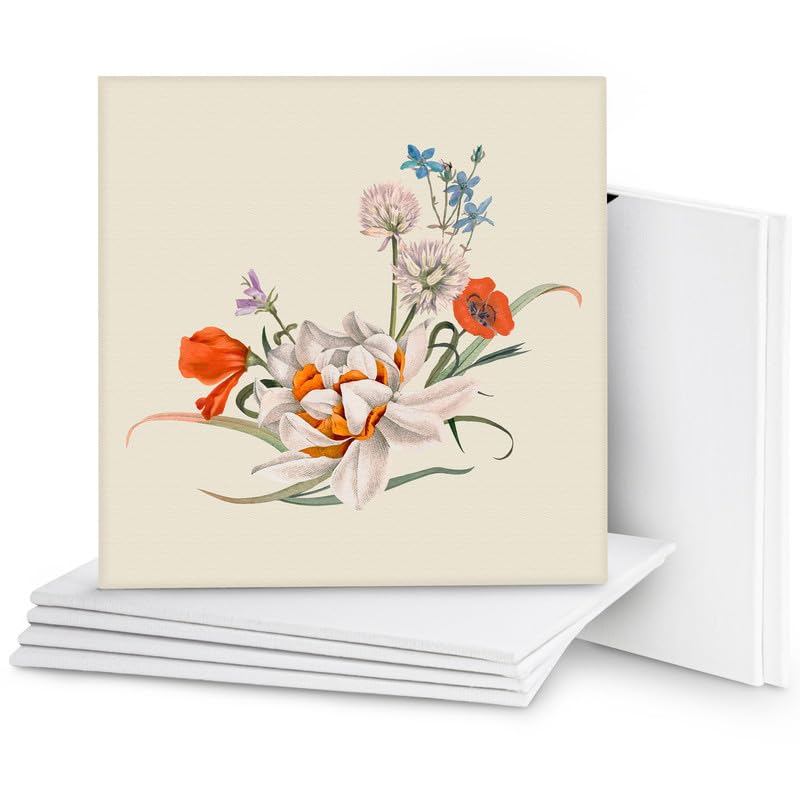 BELLE VOUS 7 Pack Blank Canvas - 40 x 40cm (16 x 16 inches) - Pre Stretched Canvas Panel Boards - Suitable for Acrylic and Oil Painting Also for Sketching and Drawing