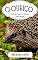 Livro O OURIÇO: animais para crianças pequenas