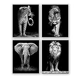 4 Set-Black and White African Wild Animal Photo
